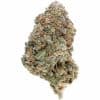 Blue Guava Gelato Strain