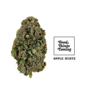 apple mintz strain online